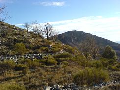 view from the ruins